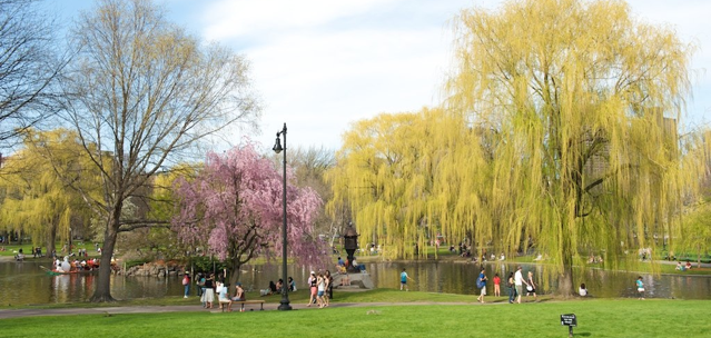 Fun Things to Do in Boston in the Spring