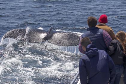 Marine Bio Field Trip