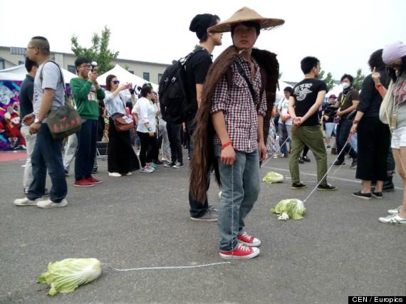 Walk a Cabbage, Take a Stand