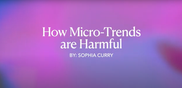 Navigation to Story: How Are Microtrends Harmful?