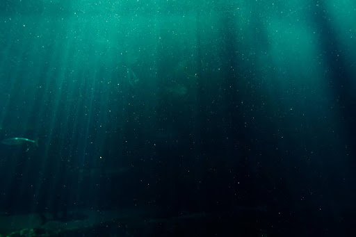 What is Thalassophobia?