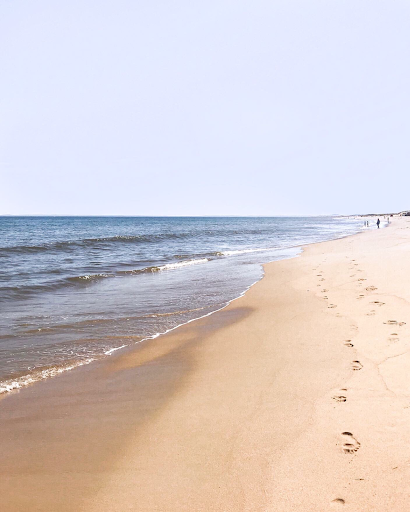 Exploring Plum Island Beach