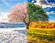 How Do Different Seasons Affect People?