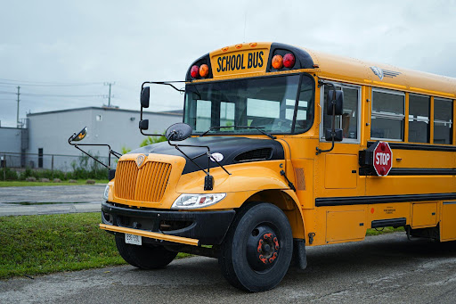 Bus Rules: Good or Bad?